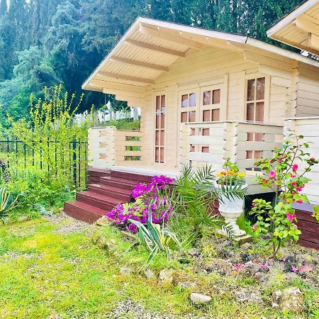 Vacation Home Apsar New Athos Екстер'єр фото