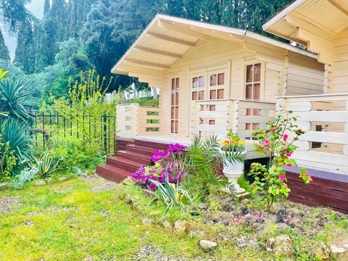 Vacation Home Apsar New Athos Екстер'єр фото
