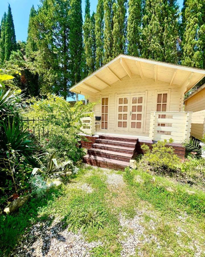 Vacation Home Apsar New Athos Екстер'єр фото